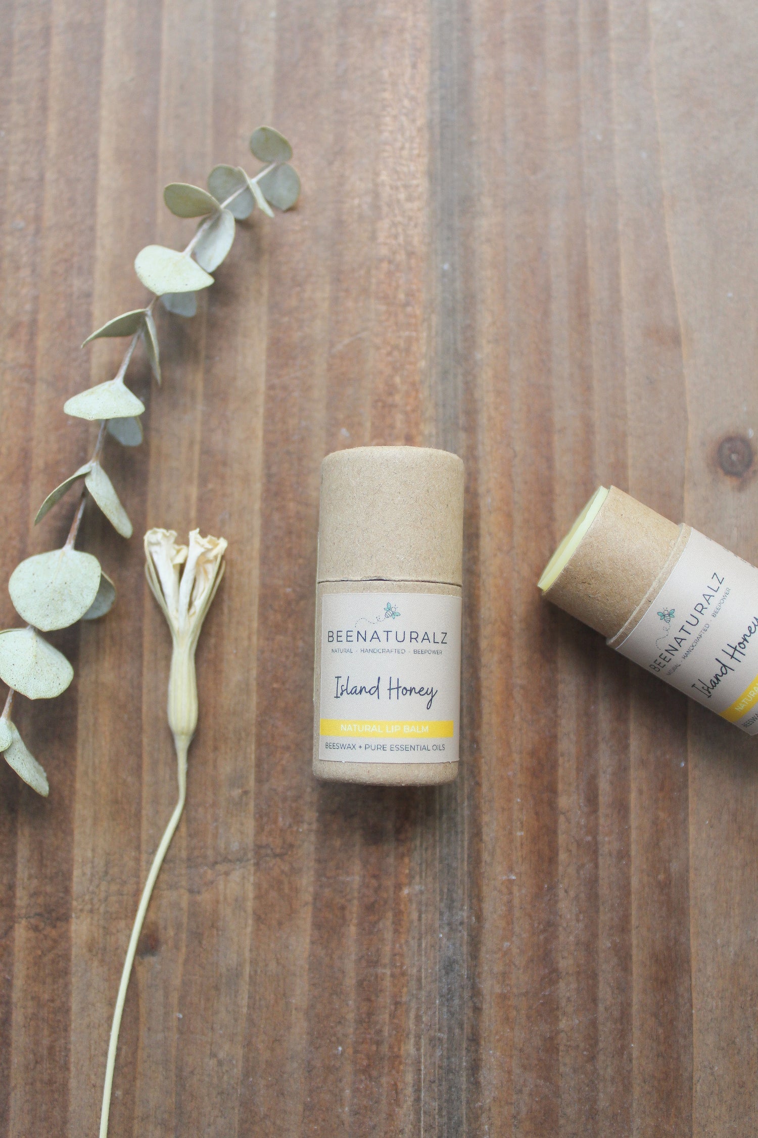 Beeswax Lip Balm - Island Honey
